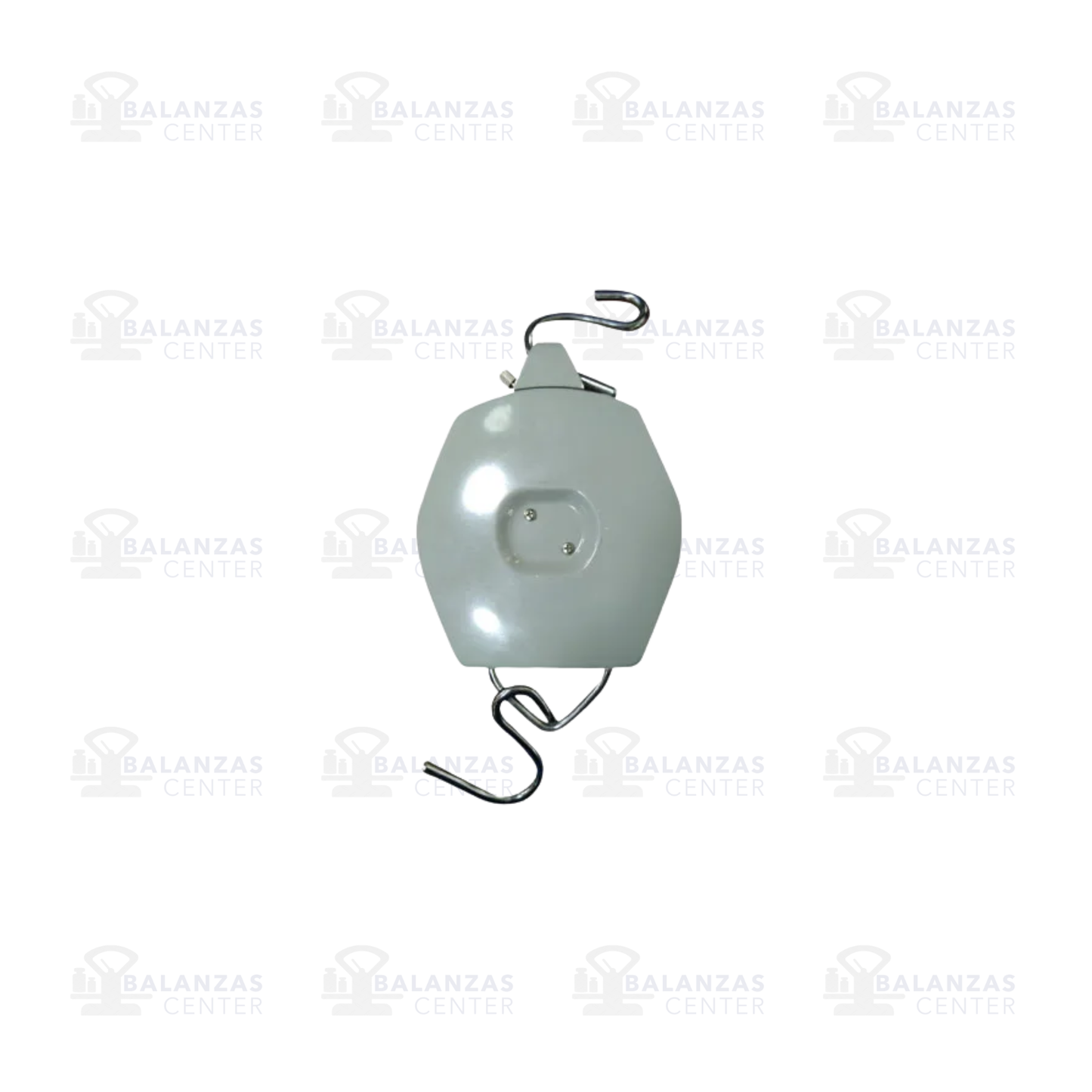 BALANZA COLGANTE RAY SCALE RS-100K DE 100 KG