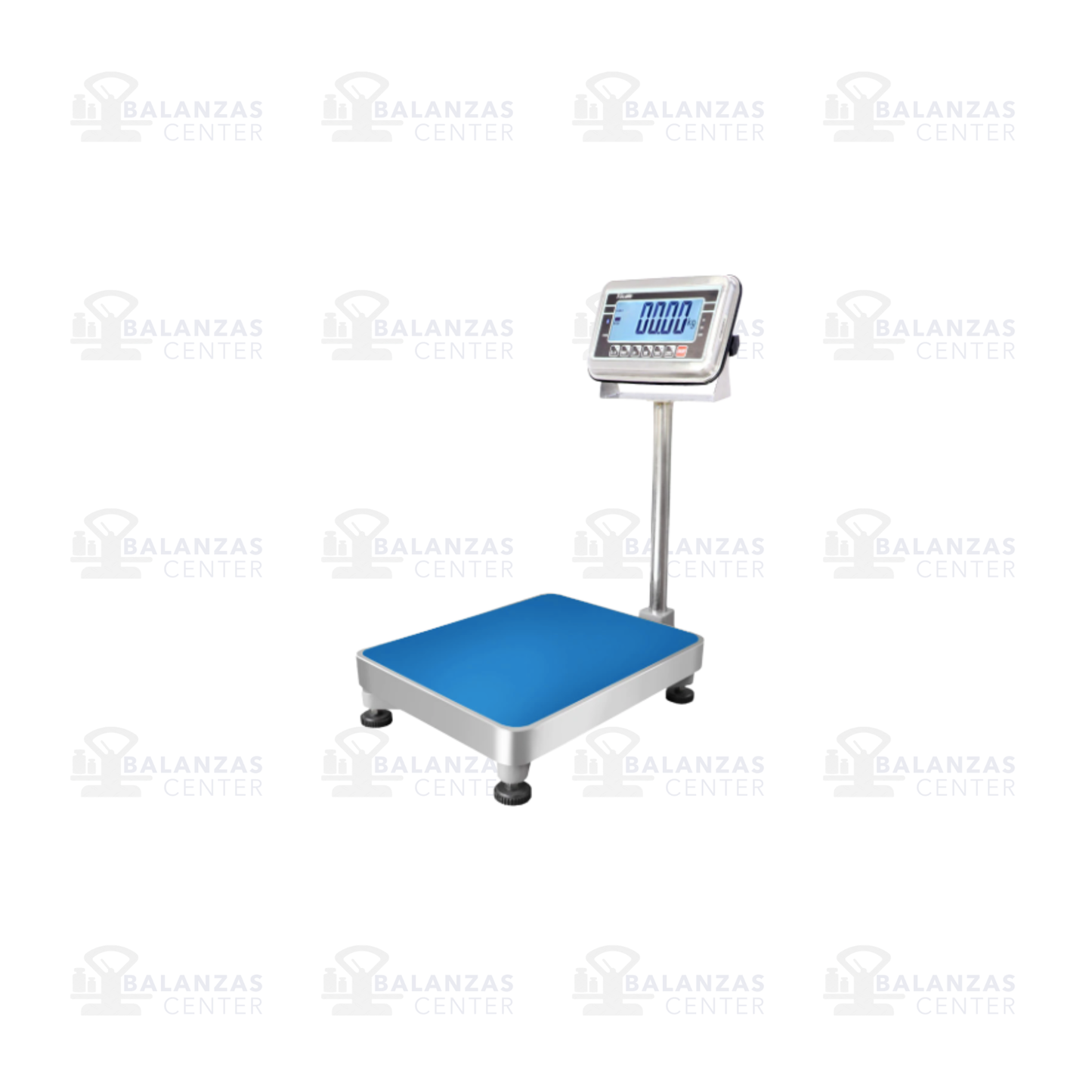 BALANZA DE PLATAFORMA 60 X 46 CM T-SCALE BWS DE 300 KG