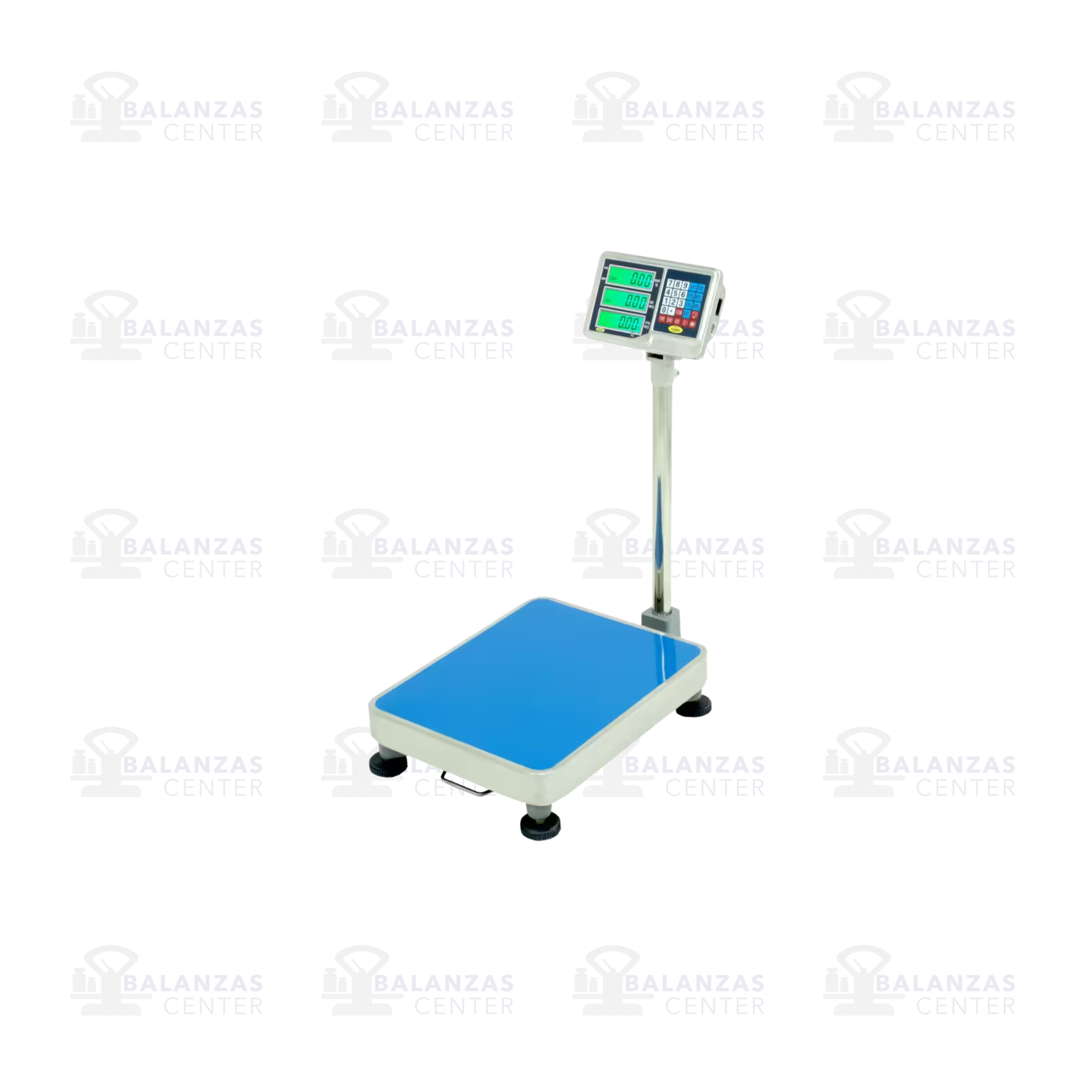 BALANZA DE PLATAFORMA 60 X 46 CM TAIPE TCS DE 300 KG