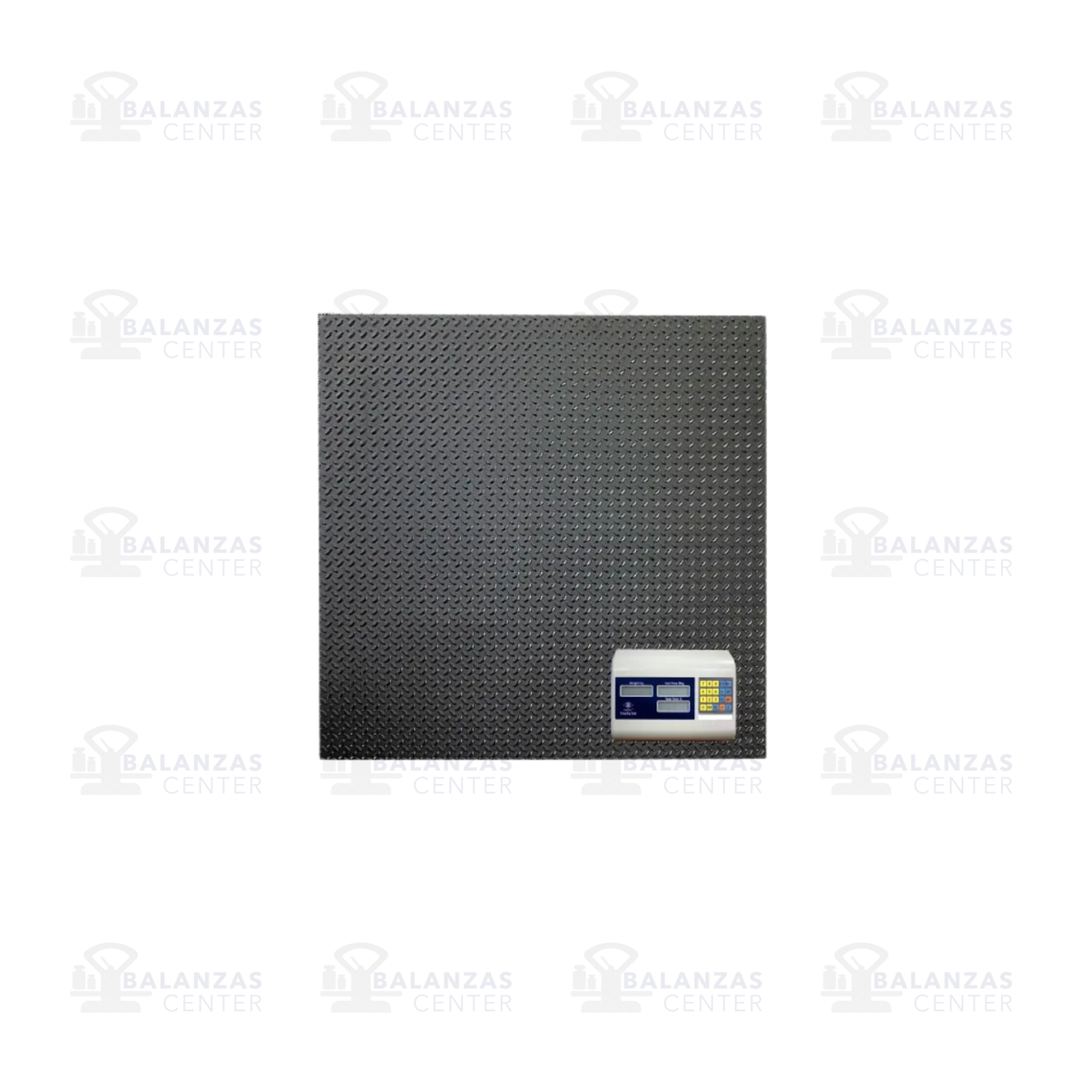 Balanza tipo rampa Excell AP4, detalle del indicador